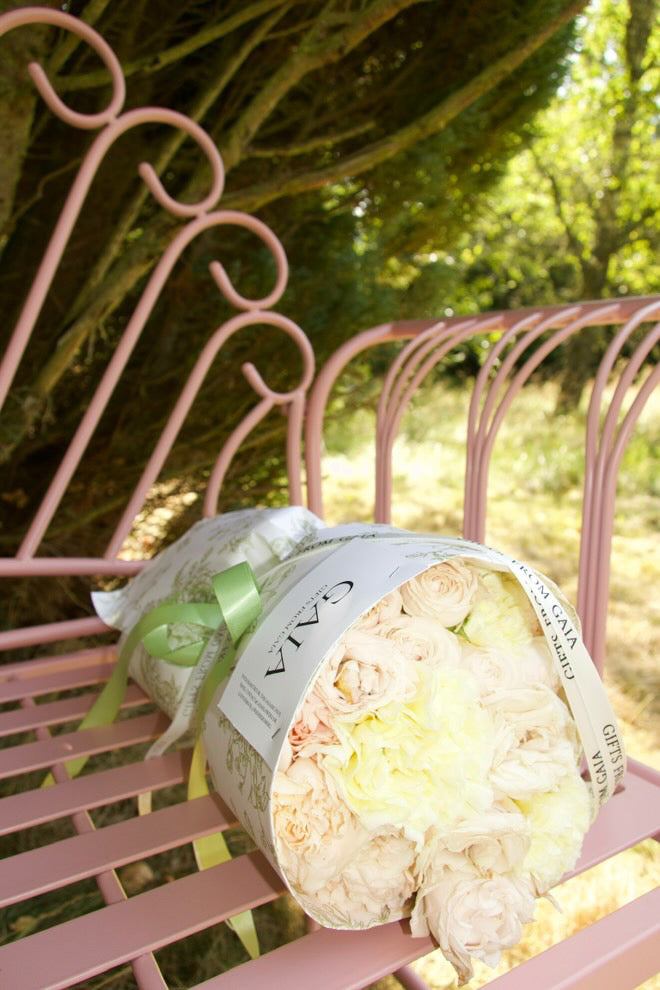 GAIAs Klassiske Mini