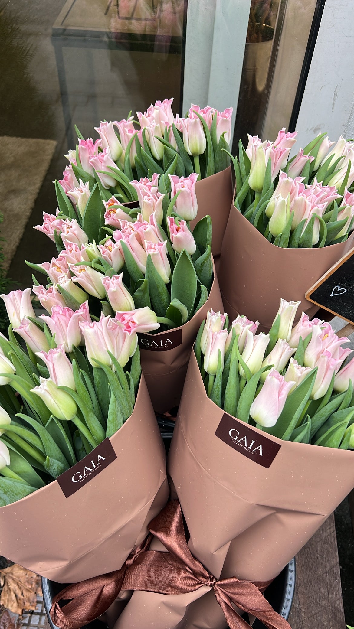 GAIAs Tulipaner