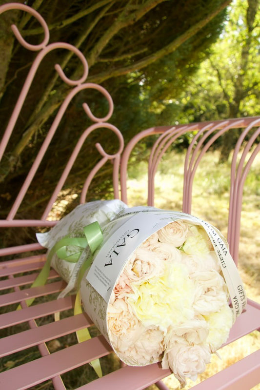 GAIAs Klassiske Mini